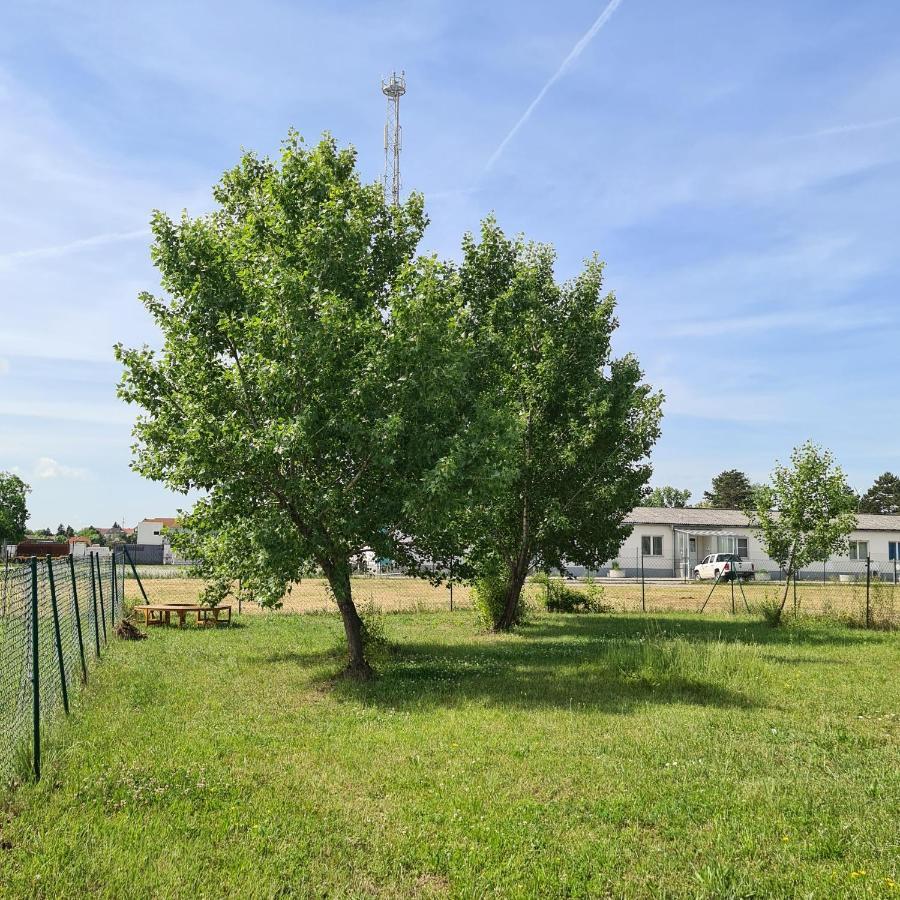 Tiny House Villa Neusiedl an der Zaya Exterior foto